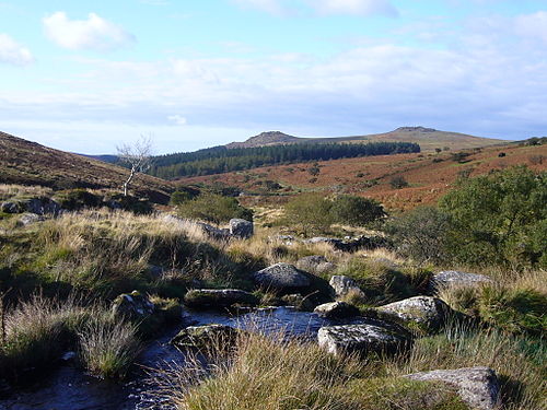 Dartmoor National Park